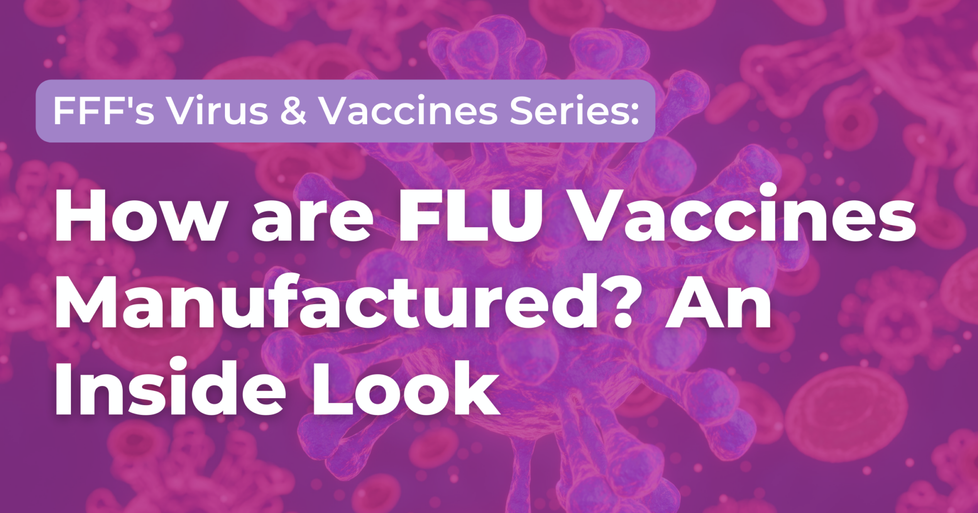 How Are Flu Vaccines Manufactured 