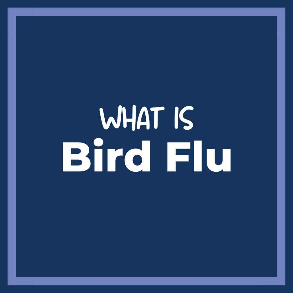 what-is-bird-flu